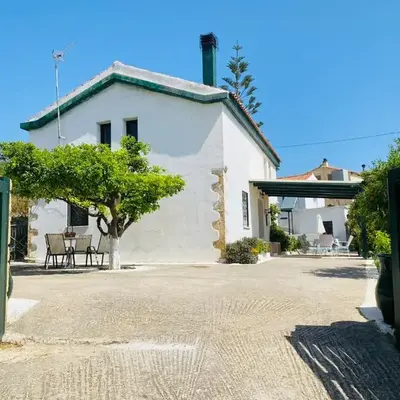The Green Home
