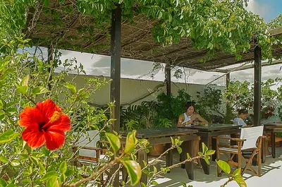 a woman sitting at a table with a red flower at Kalypso Studios & Rooms in Palaiochóra
