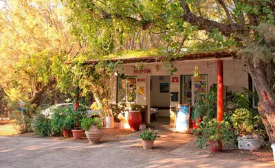 a building with potted plants in front of it at Camping Nopigia in Kissamos
