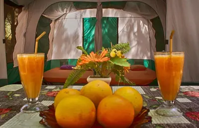 two glasses of orange juice and oranges on a table at Camping Nopigia in Kissamos