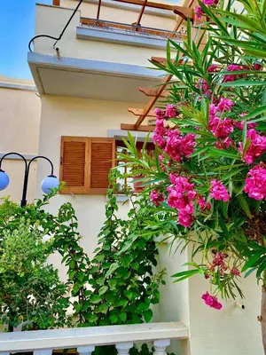 a building with pink flowers on the side of it at Alexandra Hotel in Kalamaki Chanion
