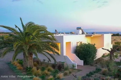 a house in the desert with a palm tree at Notos Villas in Frangokastello