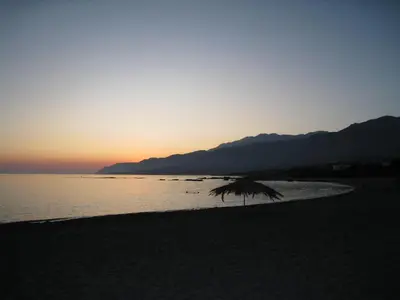a palm tree on the beach at sunset at Oasis Apartments in Frangokastello