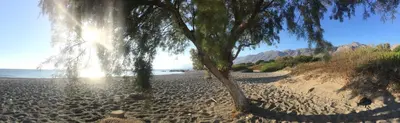 a sandy beach with trees and the ocean in the background at Oasis Apartments in Frangokastello