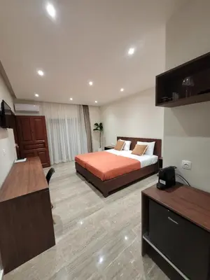 a hotel room with a bed and a television at Vasiliki Apartments in Plataniás