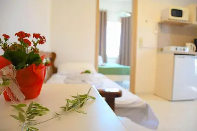 a room with a table with a vase of flowers on it at Litinas Apartments with pool in Agia Marina Nea Kydonias