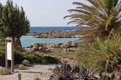 a beach with palm trees and the ocean at Casa D'armaros in Kissamos