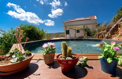 a group of potted plants sitting on a patio with a swimming pool at Best View Mountain Villa in Teménia
