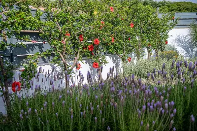 a garden with red roses and purple flowers at Sunset Elafonisi Apartments in Livadia