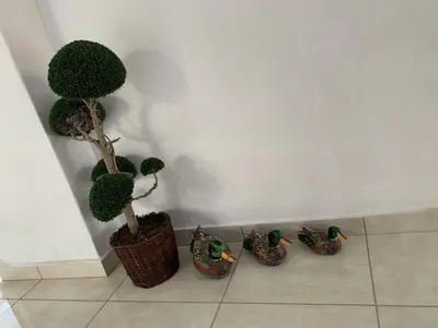a group of artificial trees in a corner next to a wall at Maria's modern studio 5min from beach in Souda