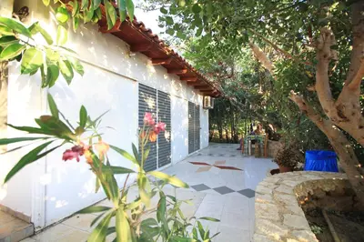 a patio with a white wall and a tree at Aqua Marine in Falasarna