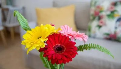 a vase filled with colorful flowers on a table at Manolia Dream Apartment 30m to the beach in Agia Marina Nea Kydonias