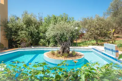 a swimming pool with a tree in the middle at Olive Farm in Agia Marina Nea Kydonias