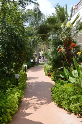 a walking path with palm trees and plants at Okeanis Golden Resort in Kato Daratso