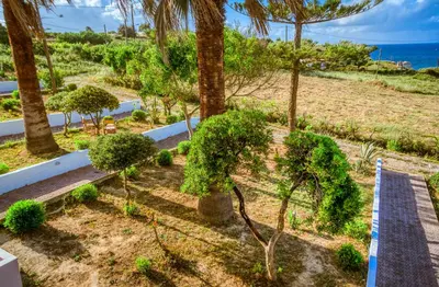 a garden with palm trees and a pathway at Gregory Village Sea View in Stalos