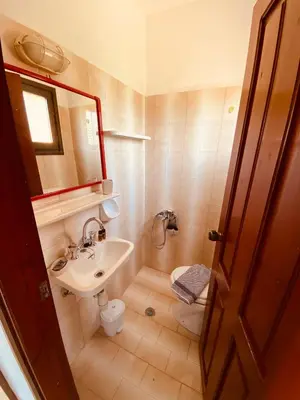 a bathroom with a sink and a toilet and a mirror at Gregory Village Sea View in Stalos