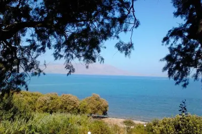 a view of the ocean through the trees at Kaktos 1 in Kissamos