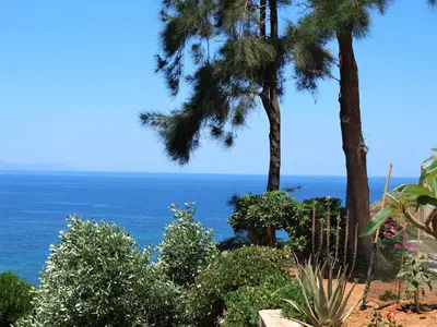 a view of the ocean through palm trees at Emerald Apartment Halepa in Chania Town