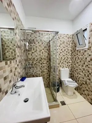 a bathroom with a sink and a toilet at Lafo Rooms in Elafonisi