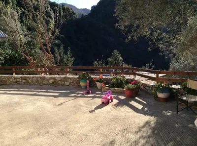 a teddy bear and some plants in a yard at Kleanthi's House in Chania Town