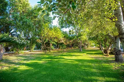 a park with green grass and trees in a park at On the sand 1 in Palaiochóra