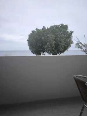a white wall with a tree in front of the ocean at Alexia Rooms in Palaiochóra