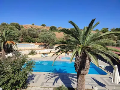 a palm tree in front of a swimming pool at Kyriaki Hotel in Kato Daratso