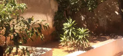 a garden with plants next to a wall at Amelie Qute Apartment in Chania Town