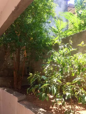 a garden with trees and plants next to a wall at Amelie Qute Apartment in Chania Town