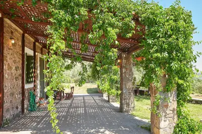 an ivy covered walkway leading to a building at Authentic Cottage in a heaven of natural Beauty in Chania Town