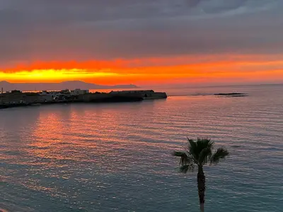 a sunset over the ocean with a palm tree at Zonapartments B sea view- city center in Chania Town