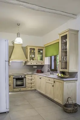 a kitchen with wooden cabinets and a white refrigerator at Villa Kalithea in Pemónia