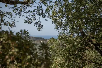 a view of the ocean through the trees at Velanis Ηouse, style into nature - secluded in Kissamos