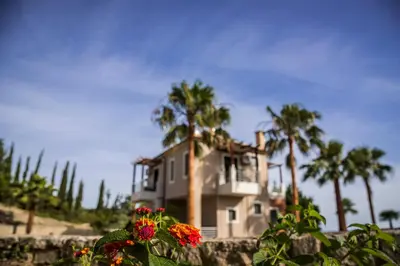a house on the beach with palm trees and flowers at Athina Luxury Villas in Xamoudhokhórion