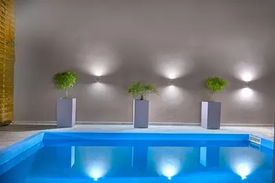 a swimming pool with three potted plants on a wall at Villa Calliope in Chania Town