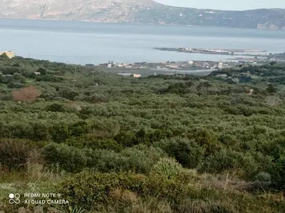 a view from a hill of trees and a body of water at TRADITIONAL HOUSE MARIA in Azoyirás
