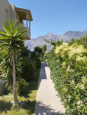 a sidewalk next to a house with a palm tree at Argilos Apartments in Frangokastello