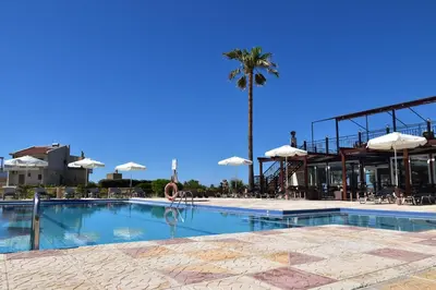 a large swimming pool with a palm tree in the background at Odos Oneiron Tavronitis Bay in Tavronitis