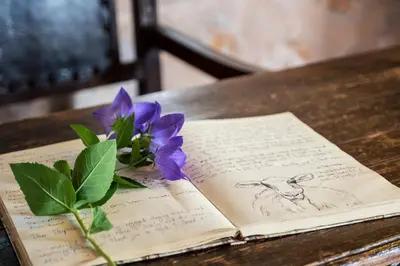 a book with a flower sitting on a table at Private Stone villa-Pool and Maountain view in Karés