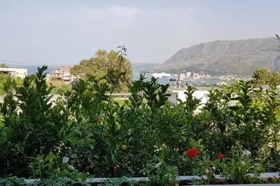 a group of plants with a view of the water at Blue and green in Chania Town