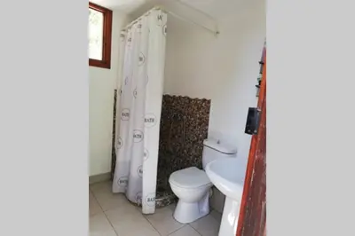 a bathroom with a toilet and a shower curtain at Olga's traditional stone house, Palaiochora in Kondokiníyion
