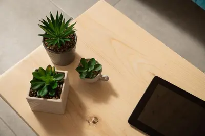 two potted plants sitting on a table next to a tablet at 