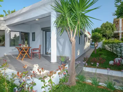 a house with a palm tree on a patio at Villa Belle Helene Kalamaki Chania in Kalamaki Chanion
