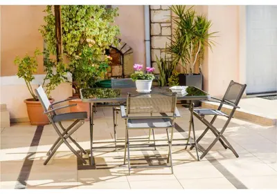 a glass table and chairs in a room with plants at Andronikis House in Pithárion