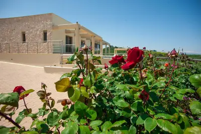 a bush of red roses in front of a house at Luxury 6-Bedroom Villa With Private Pool- Villa Prigipessa in Chania Town