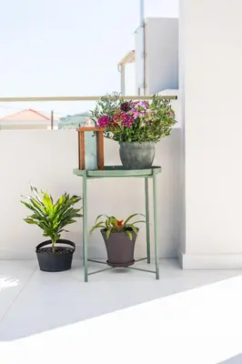 a plant stand with three potted plants on it at Villa Oliveto in Tavronitis