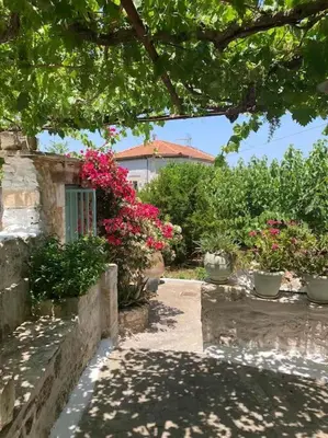 a garden with potted plants and a building at Sergios Village House in Chania Town