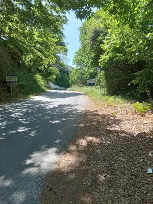 an empty road with trees on both sides of it at Angel Villa in Strovlés