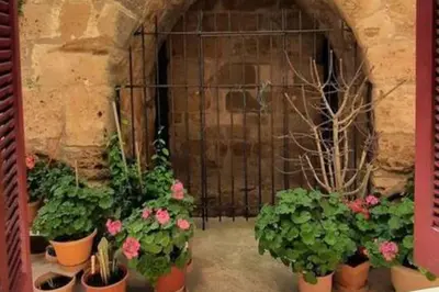 a bunch of potted plants in front of a gate at 4 Guests - Veneris Residence Apartment in Chania in Chania Town