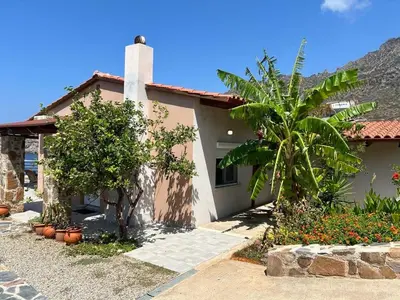 a house with a palm tree in front of it at House Gylisma in Kámbos